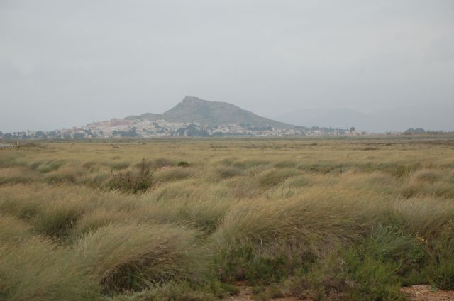 Dudas ante la “renaturalización” del Humedal del Carmolí - 2, Foto 2
