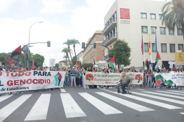 “La complicidad con el ente sionista de Israel debe terminar”: Izquierda Unida-Verdes se moviliza por Palestina frente a la Delegación del Gobierno - 2, Foto 2