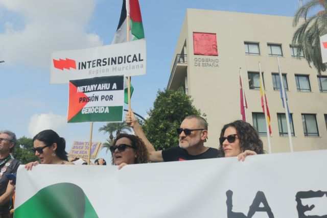 “La complicidad con el ente sionista de Israel debe terminar”: Izquierda Unida-Verdes se moviliza por Palestina frente a la Delegación del Gobierno - 3, Foto 3