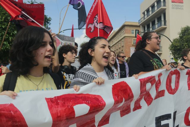 “La complicidad con el ente sionista de Israel debe terminar”: Izquierda Unida-Verdes se moviliza por Palestina frente a la Delegación del Gobierno - 4, Foto 4