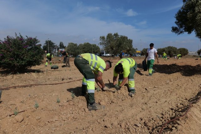La rotonda de Las Tejeras se renueva para embellecer el entorno y mejorar su sostenibilidad - 1, Foto 1