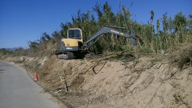 La Confederación Hidrográfica del Segura recupera el bosque de ribera en el paraje de La Barratera de Cieza - 1, Foto 1