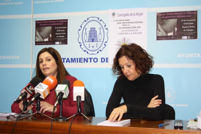 Organizados varios actos para conmemorar el Día internacional para la eliminación de la violencia contra la mujer - 2, Foto 2