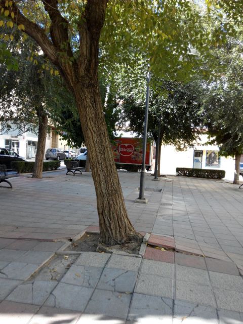 El Ayuntamiento de Caravaca adjudica las obras de reforma de la Plaza de los Templarios - 2, Foto 2