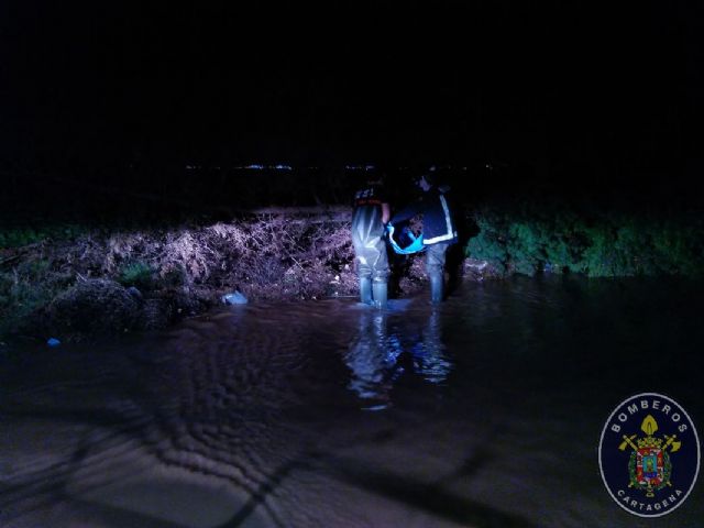 Las lluvias de esta noche provocan la caída de un árbol y el corte de carreteras en el municipio - 1, Foto 1