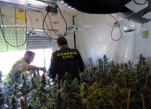 La Guardia Civil desmantela un invernadero de marihuana en un dúplex de Cabo de Palos-Cartagena - 3, Foto 3