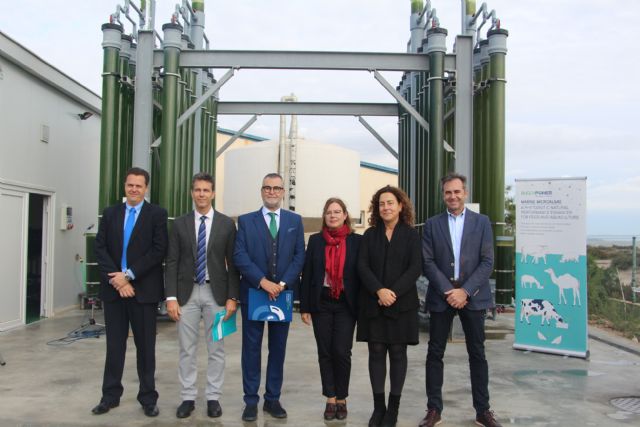 El centro de recursos marinos del IMIDA cuenta con una nueva planta de cultivo de microalgas - 2, Foto 2