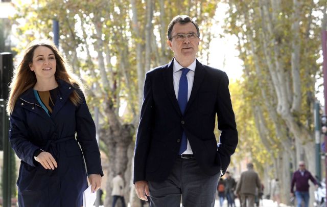 Abierto al completo el paseo Alfonso X como el eje peatonal y monumental más importante de Murcia - 3, Foto 3