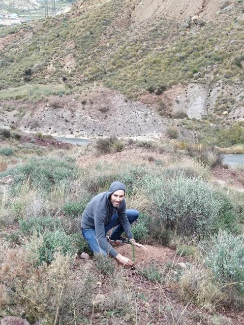 El PSOE propone que se realice una plantación de árboles en montes de Puerto Lumbreras - 1, Foto 1