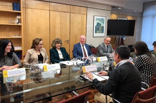 Carcedo traslada al CNPT que el Sistema Nacional de Salud financiará los tratamientos farmacológicos para dejar de fumar - 1, Foto 1