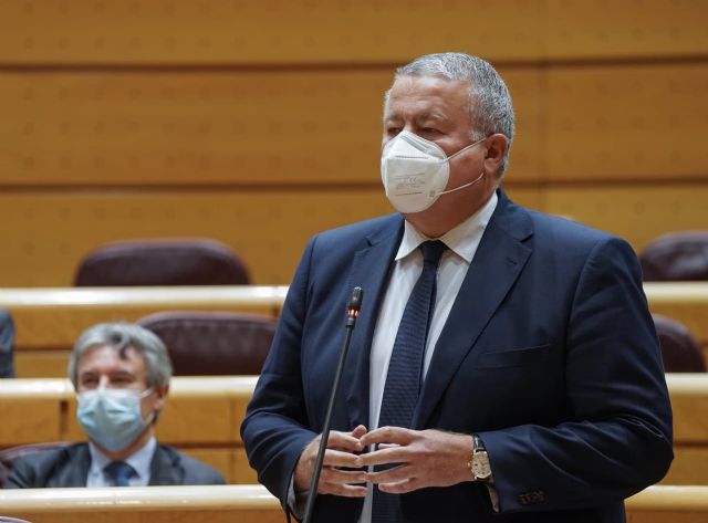 El PSOE veta la enmienda del PP para bonificar el 50 por ciento del IBI a los locales de negocio de la comarca del Mar Menor - 1, Foto 1