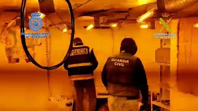 Desmantelado en Murcia y Alcantarilla un grupo criminal dedicado a cometer robos en viviendas - 3, Foto 3