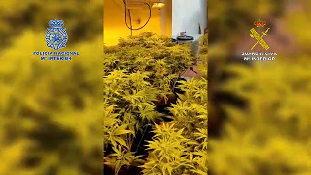 Desmantelado en Murcia y Alcantarilla un grupo criminal dedicado a cometer robos en viviendas - 4, Foto 4