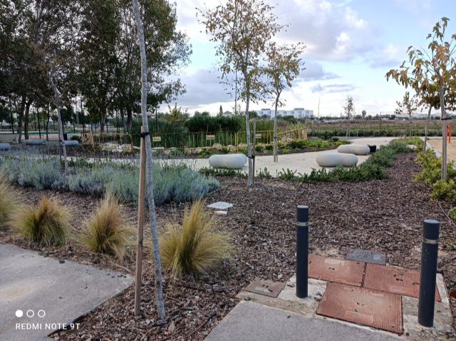 El Ayuntamiento de Torre Pacheco comprueba sistemas urbanos de drenaje sostenible en la Vega Baja - 4, Foto 4