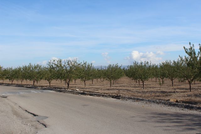 El Gobierno Regional, a través de la Consejería de Agricultura, destinará más de 250.000 euros al acondicionamiento del Camino Viejo del Puerto - 3, Foto 3