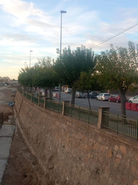Nueva tala indiscriminada en Lorca - 1, Foto 1