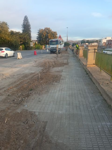 Nueva tala indiscriminada en Lorca - 2, Foto 2