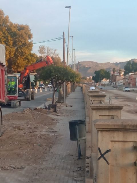 Nueva tala indiscriminada en Lorca - 3, Foto 3