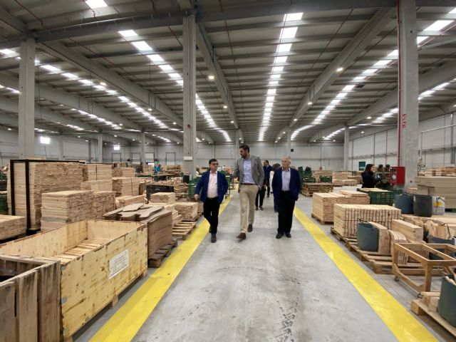 Antelo: “Aquí el único agitador de circo de la agenda 2030 es el alcalde de San Javier” - 2, Foto 2