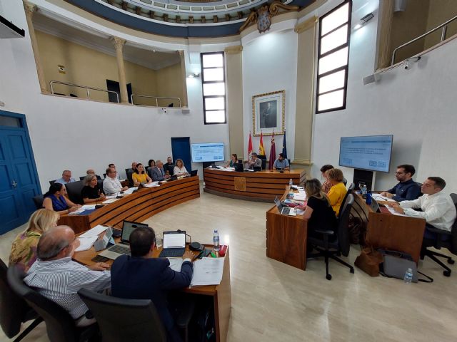 El Pleno se reúne de forma urgente para oponerse a la amnistía y a los acuerdos de investidura de Pedro Sánchez - 1, Foto 1