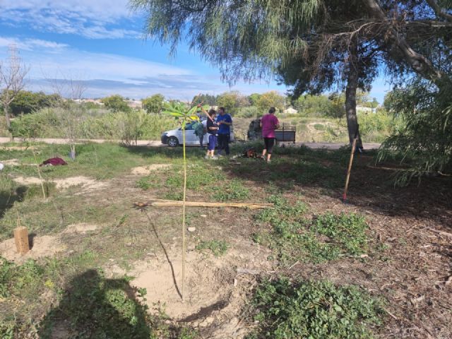 El proyecto de Recuperación del Meandro del Vivillo arranca con sus primeras actividades de voluntariado ambiental - 3, Foto 3