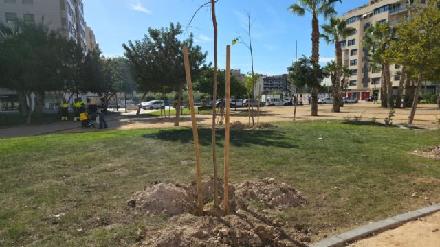 El Jardín de la Asociación Espa&ntilde;ola Contra el Cáncer, en Santiago y Zaraiche, contará con nuevo arbolado gracias a una nueva actividad vecinal del Plan Foresta - 5, Foto 5
