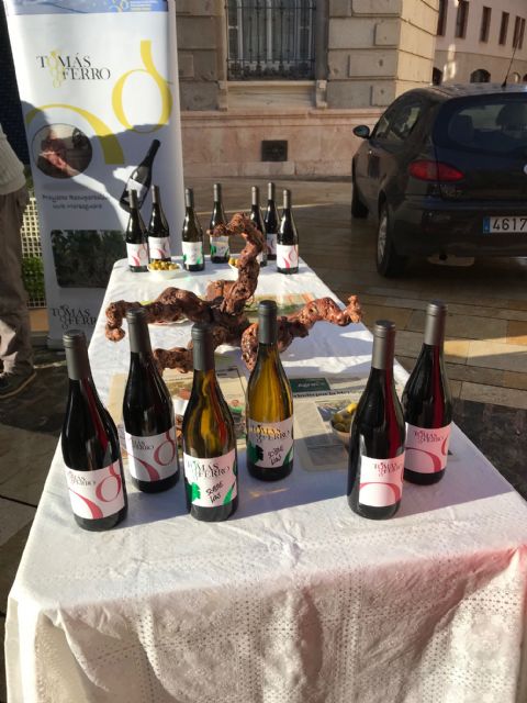 El vino Tomás Ferro de la UPCT apuesta por la uva Meseguera - 5, Foto 5