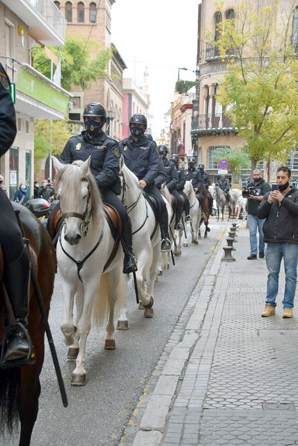 La caballería de la Policía Nacional lleva alimentos para la acción social del Ateneo de Sevilla - 3, Foto 3