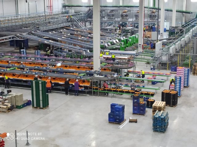 GPF Capital crea el líder europeo del limón con la compra de Frugarva - 1, Foto 1