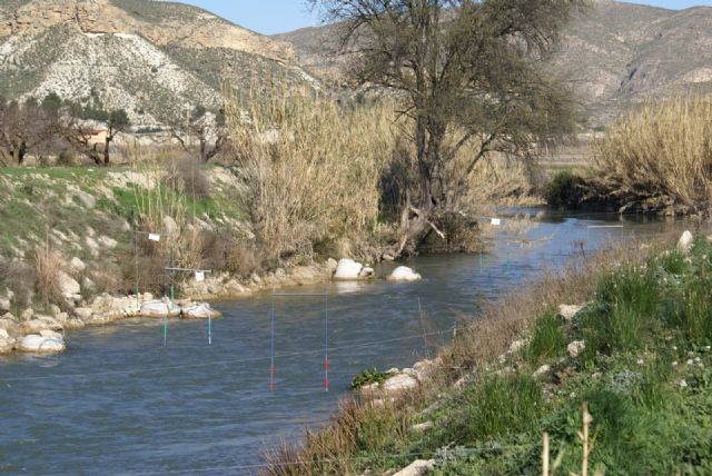 Rehabilitación de la playa fluvial del Remolino del Cañar y nuevo Campo de Slalom en el Río Segura - 2, Foto 2