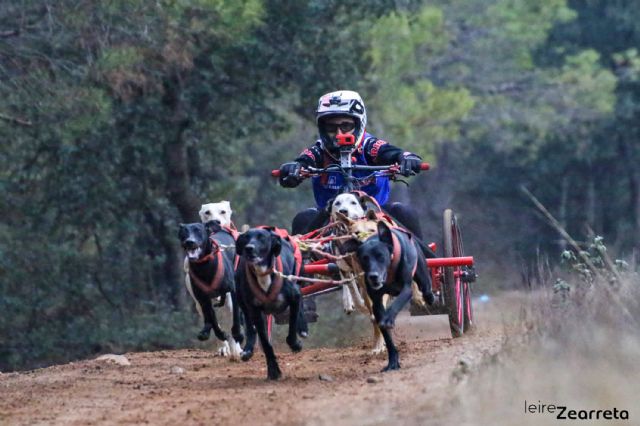 El torreño Tomás Ruiz se cuelga el bronce en el campeonato de España de mushing en tierra - 2, Foto 2