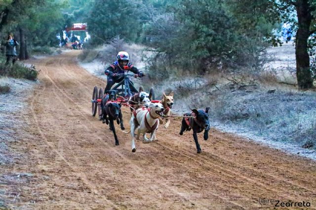 El torreño Tomás Ruiz se cuelga el bronce en el campeonato de España de mushing en tierra - 3, Foto 3