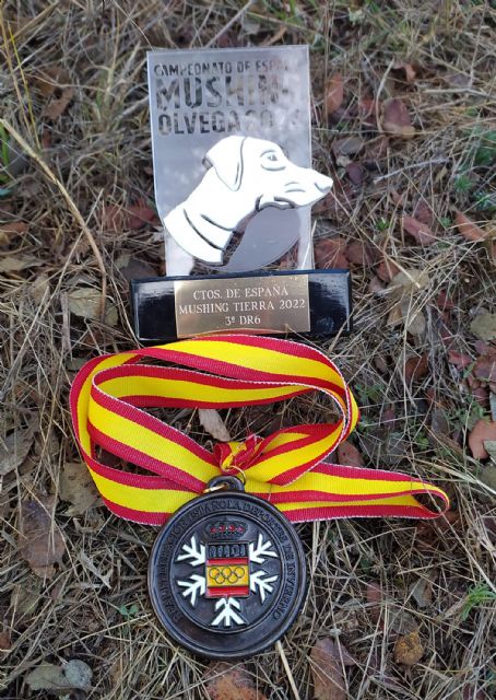 El torreño Tomás Ruiz se cuelga el bronce en el campeonato de España de mushing en tierra - 4, Foto 4