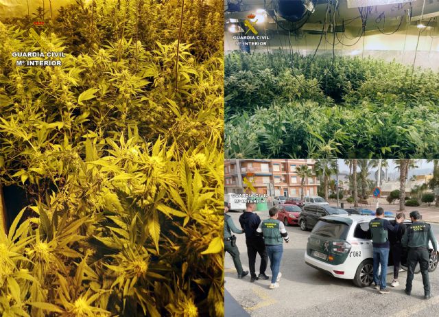 La Guardia Civil desmantela un nuevo invernadero con 850 plantas de marihuana en un dplex de Puerto de Mazarrn, Foto 5