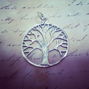 Finaliza la I edicin del 