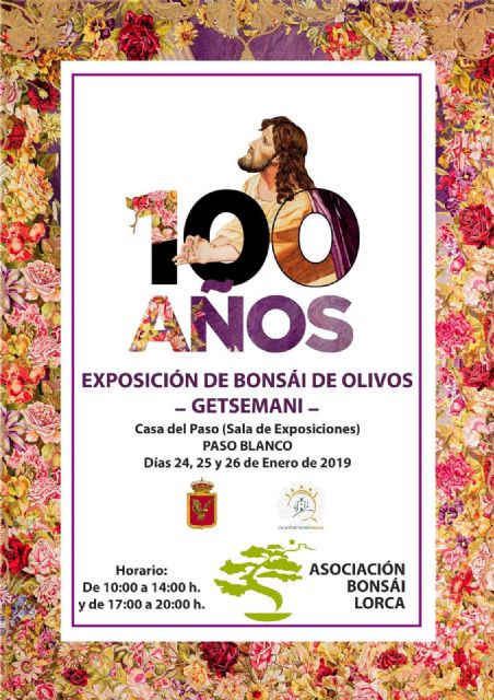 “Getsemaní”: exposición de bonsái de olivos con motivo del Centenario del Paño de las Flores - 1, Foto 1
