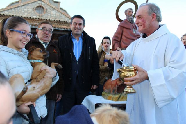 Alcantarilla recupera la procesión de San Antón que no se realizaba desde hace 15 años - 1, Foto 1