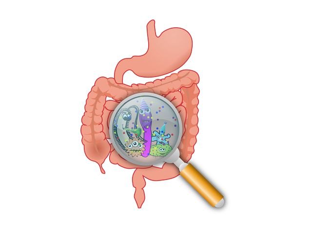 Dos de cada tres españoles afirma sufrir trastornos digestivos de manera frecuente - 1, Foto 1