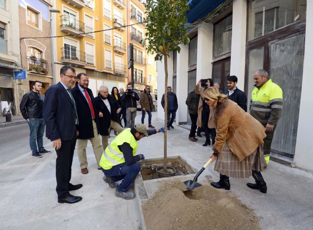 El Plan Foresta 2030 llega a los barrios de San Pedro, San Antolín y San Nicolás con las primeras plantaciones de limoneros - 1, Foto 1
