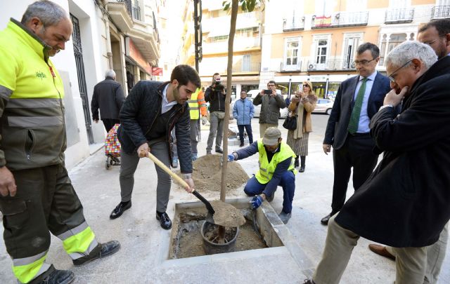 El Plan Foresta 2030 llega a los barrios de San Pedro, San Antolín y San Nicolás con las primeras plantaciones de limoneros - 2, Foto 2