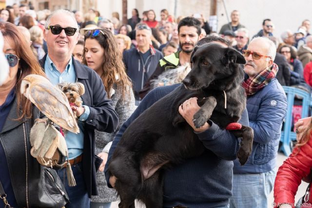 San Antón vivirá la bendición de animales el domingo además del día de su patrón - 1, Foto 1