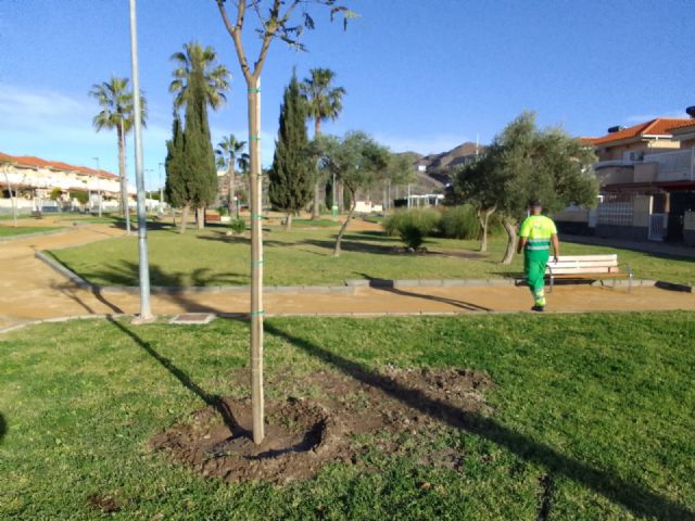 La Concejalía de Zonas Verdes lleva a cabo la plantación de 25 árboles en Los Jardines - 1, Foto 1