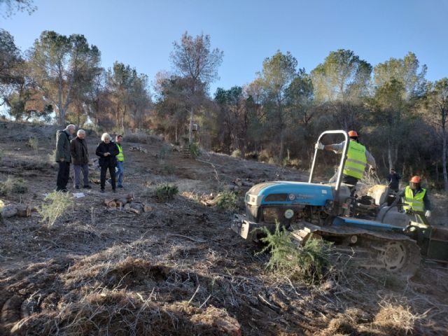 El Ayuntamiento actúa contra los efectos de la sequía y para prevenir incendios en 30 hectáreas de fincas forestales - 2, Foto 2