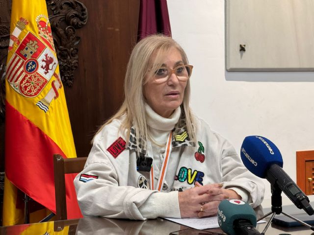 El Ayuntamiento destaca el éxito de las campañas de control de plagas que han conseguido disminuir la presencia y proliferación de insectos y roedores hasta mínimos históricos - 3, Foto 3