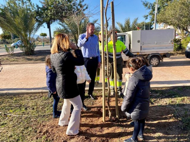 El Ayuntamiento de Murcia lleva a cabo acciones de plantación de arbolado en Espinardo - 5, Foto 5