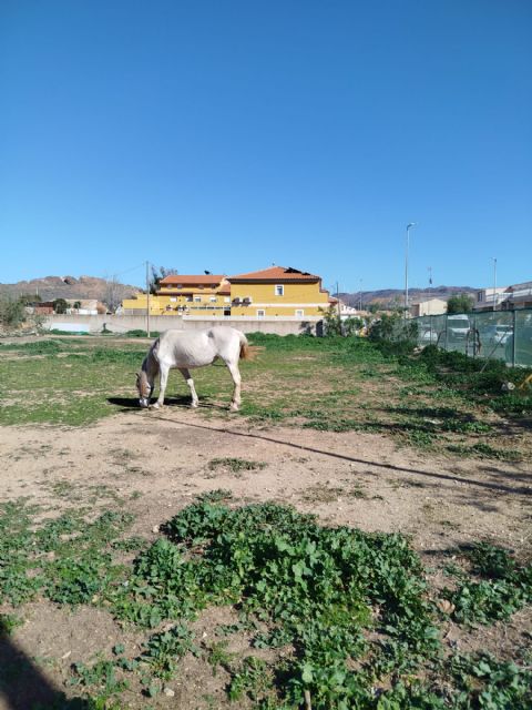 El Partido Cantonal denuncia que el Ayuntamiento da carpetazo al nuevo consultorio de Alumbres - 2, Foto 2