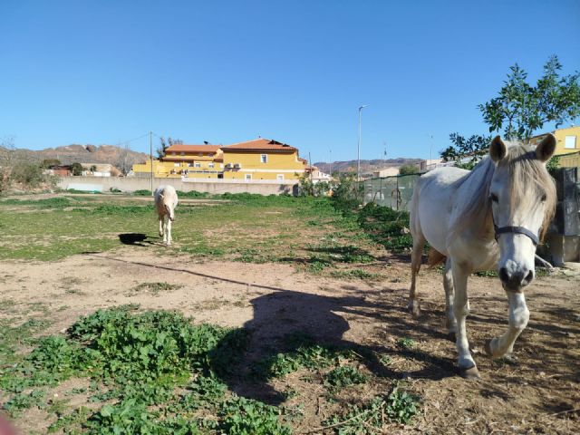 El Partido Cantonal denuncia que el Ayuntamiento da carpetazo al nuevo consultorio de Alumbres - 3, Foto 3