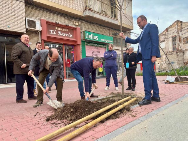 Murcia planta más de un centenar de árboles en alcorques de barrios y pedanías para continuar reponiendo los ejemplares perdidos en el Plan de Movilidad - 4, Foto 4