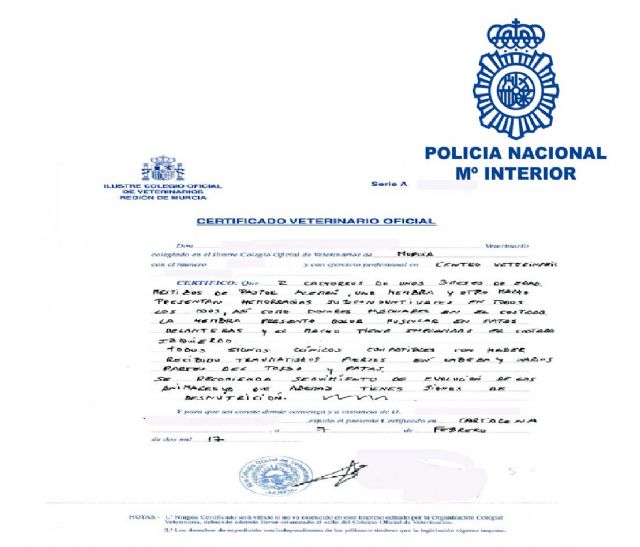 Detenida, por maltrato animal, al matar y lesionar a varios perros - 1, Foto 1