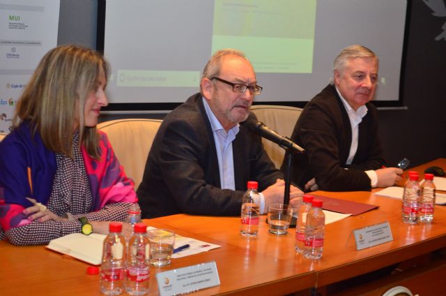 El eurodiputado José Blanco López asegura que las energías renovables serán claves como motor de desarrollo económico en la Región de Murcia - 1, Foto 1